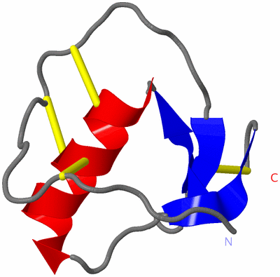 Image NMR Structure - model 1