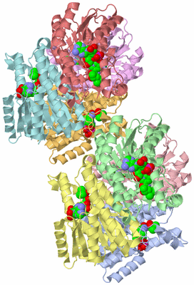 Image Asymmetric Unit