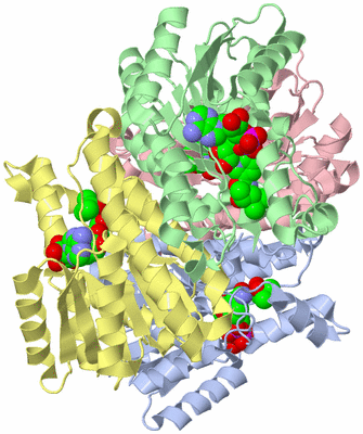 Image Biological Unit 1