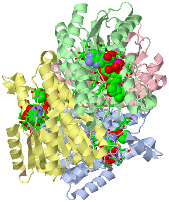 Image Biol. Unit 1 - sites
