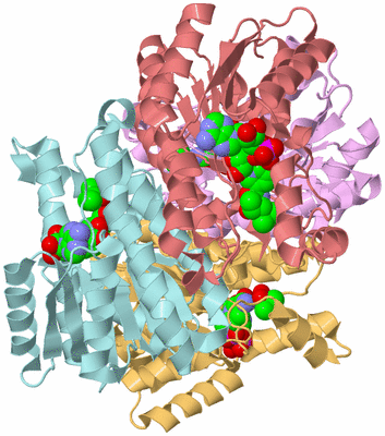 Image Biological Unit 2