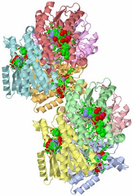 Image Asym. Unit - sites