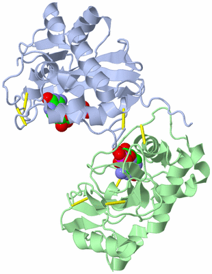 Image Asym./Biol. Unit