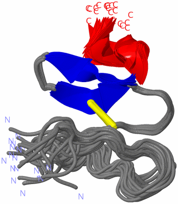 Image NMR Structure - all models