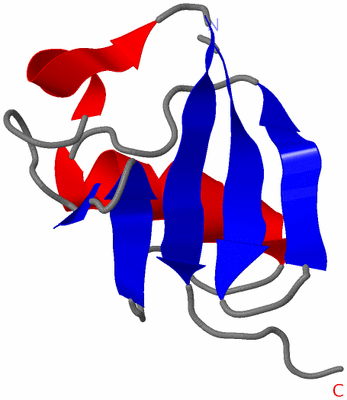 Image NMR Structure - model 1