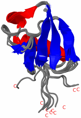 Image NMR Structure - all models