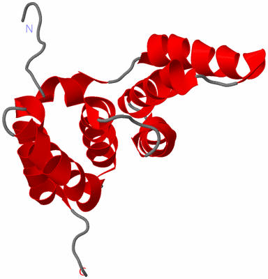 Image NMR Structure - model 1