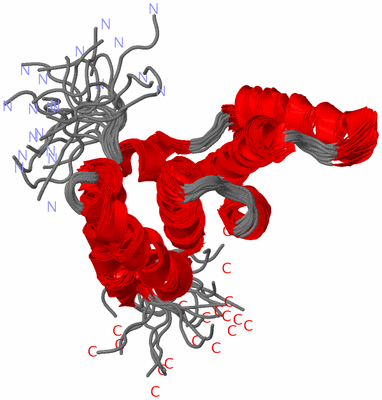 Image NMR Structure - all models