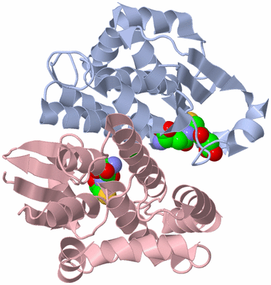 Image Biological Unit 1