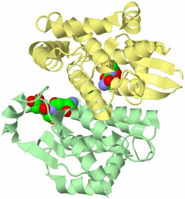 Image Biological Unit 2