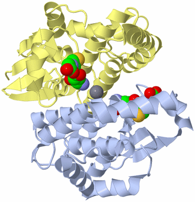 Image Biological Unit 1