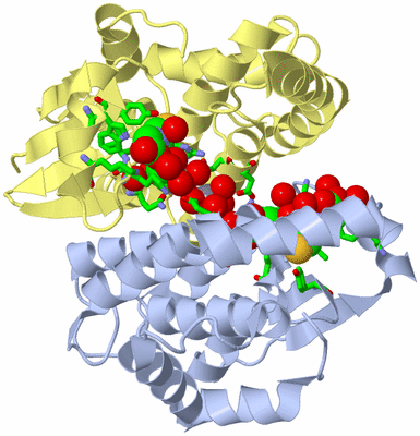 Image Biol. Unit 1 - sites