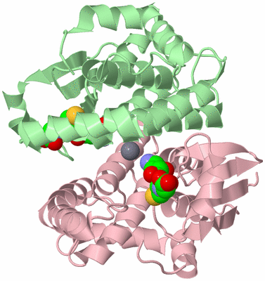 Image Biological Unit 2