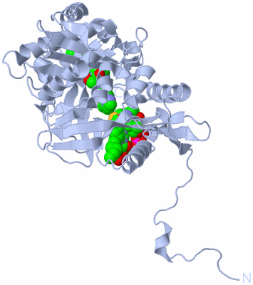 Image Biological Unit 1