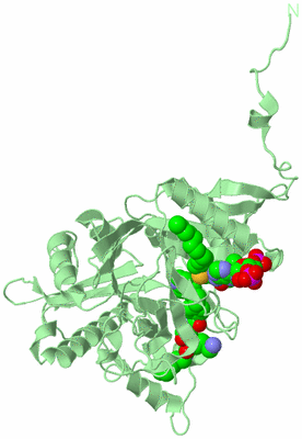 Image Biological Unit 2