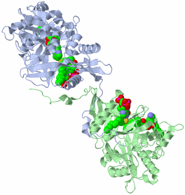 Image Biological Unit 3