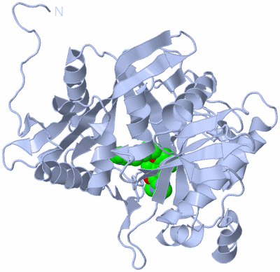 Image Biological Unit 1