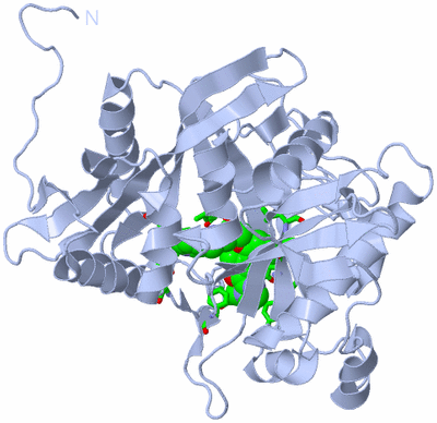 Image Biol. Unit 1 - sites