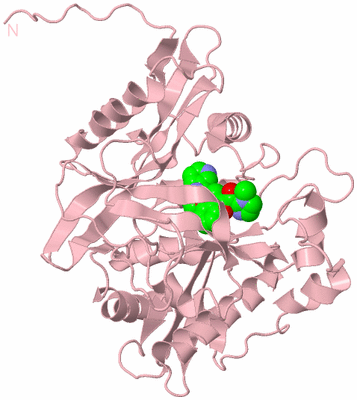 Image Biological Unit 3