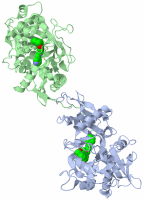 Image Biological Unit 5