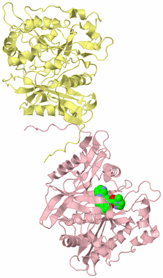 Image Biological Unit 6