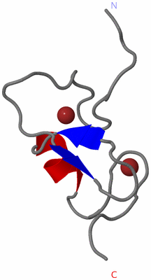 Image NMR Structure - model 1