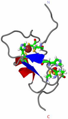 Image NMR Structure - model 1, sites