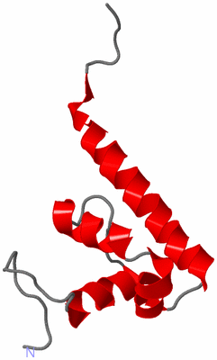Image NMR Structure - model 1