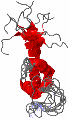 Image NMR Structure - all models