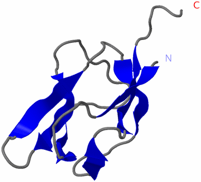 Image NMR Structure - model 1