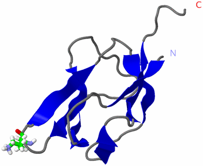 Image NMR Structure - model 1, sites