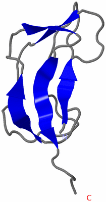 Image NMR Structure - model 1