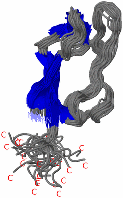 Image NMR Structure - all models