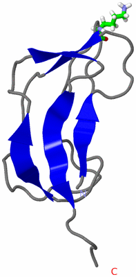 Image NMR Structure - model 1, sites