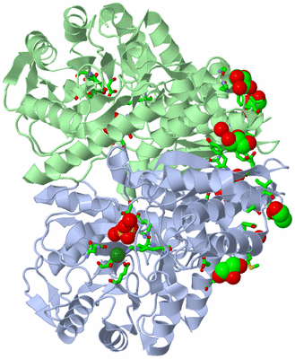 Image Asym./Biol. Unit - sites