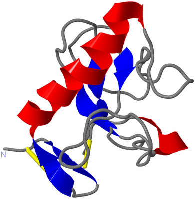 Image NMR Structure - model 1
