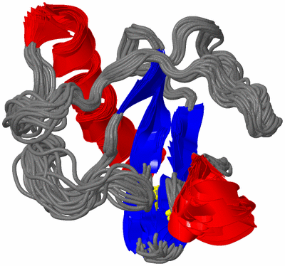 Image NMR Structure - all models