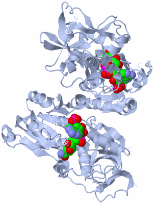 Image Biological Unit 1