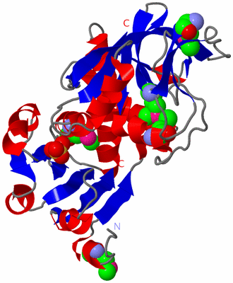 Image Asym./Biol. Unit