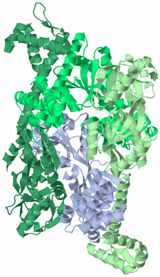 Image Asym./Biol. Unit