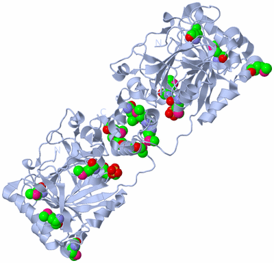 Image Biological Unit 1