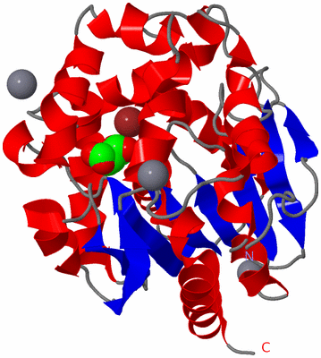 Image Asym./Biol. Unit