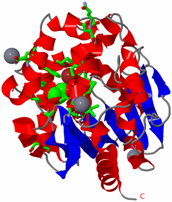 Image Asym./Biol. Unit - sites