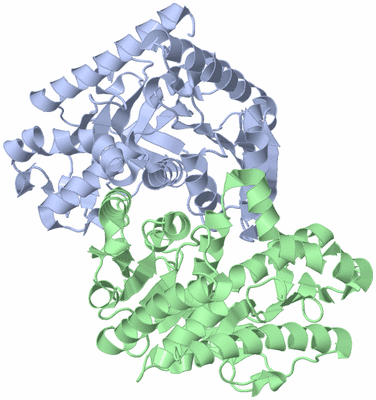 Image Asym./Biol. Unit