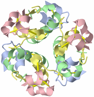 Image Biological Unit 3