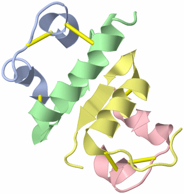 Image Biological Unit 4