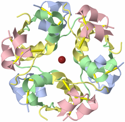 Image Biological Unit 3