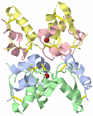 Image Biological Unit 4