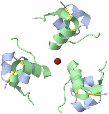 Image Biological Unit 5