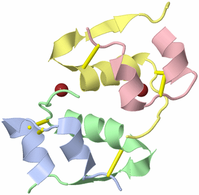 Image Biological Unit 7